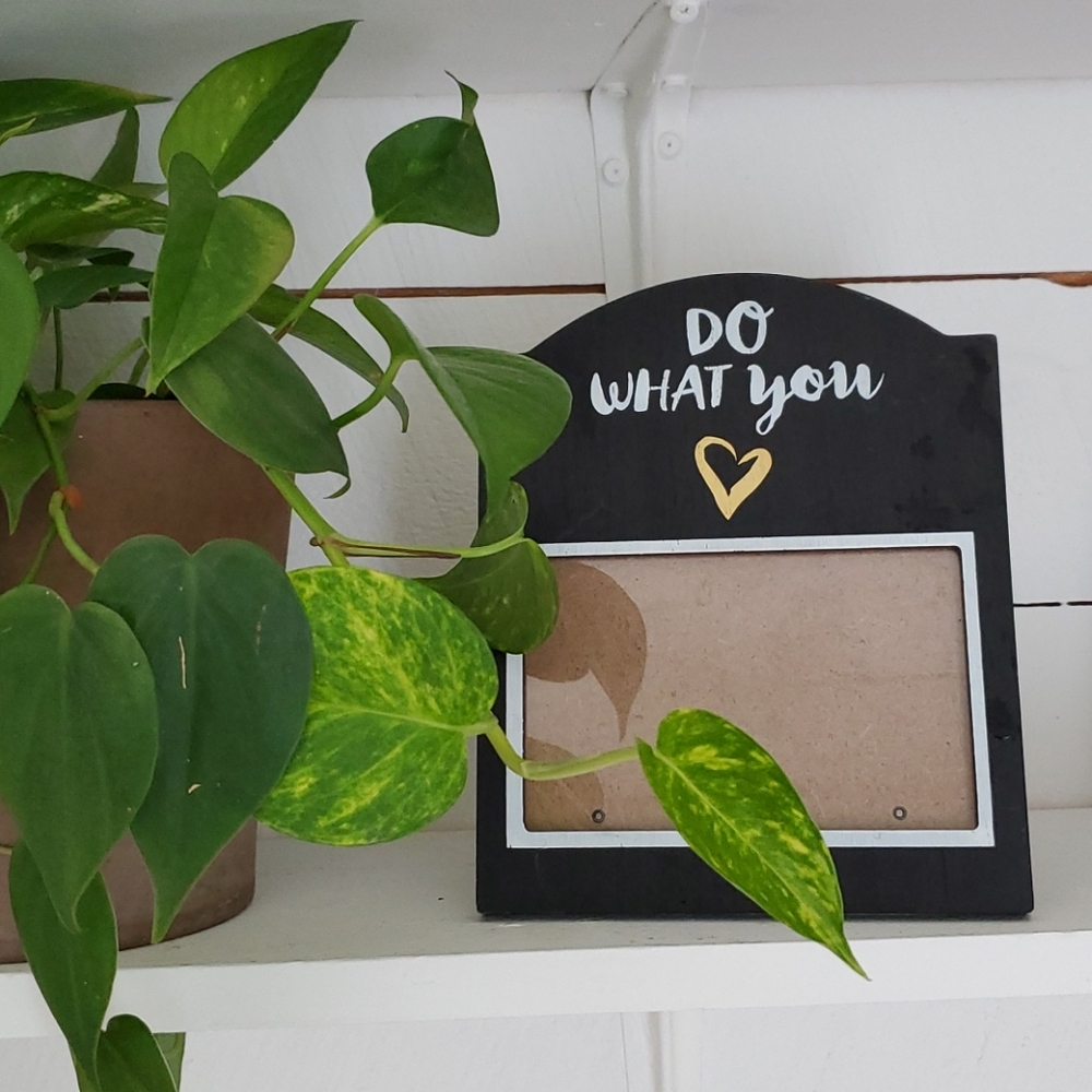 "Do what you ❤" frame